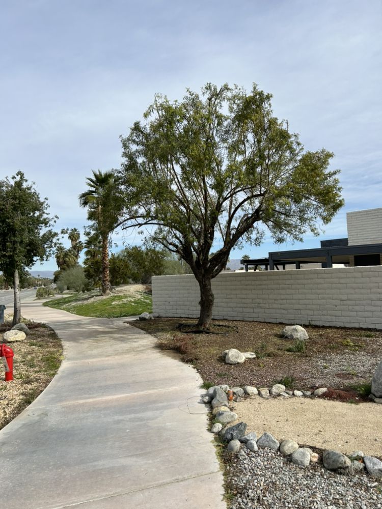 Dg's Landscape