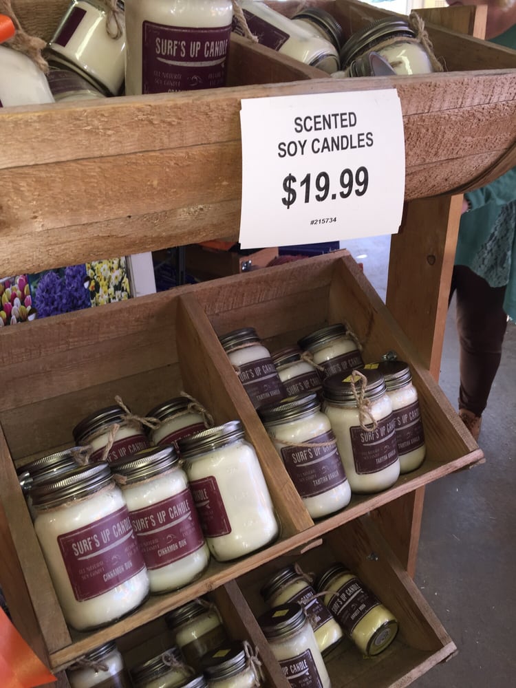 Brock Farms Home & Garden World - 13 Reviews - Nurseries & Gardening