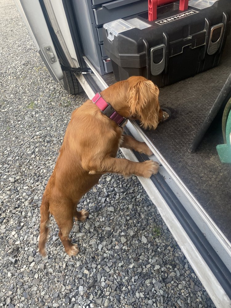 Hoskin Appliance Service