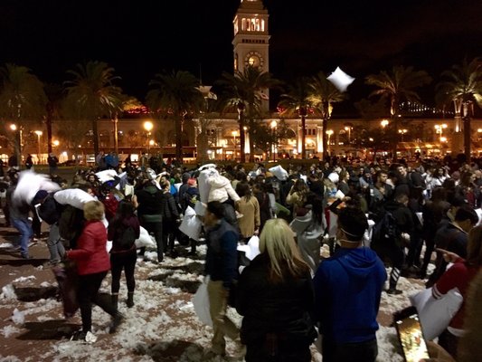 San Francisco Pillow Fight Club San Francisco Ca Tours Operators