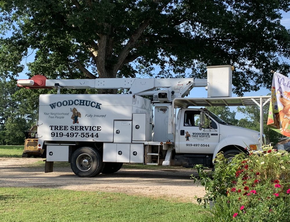 Woodchuck Tree Service