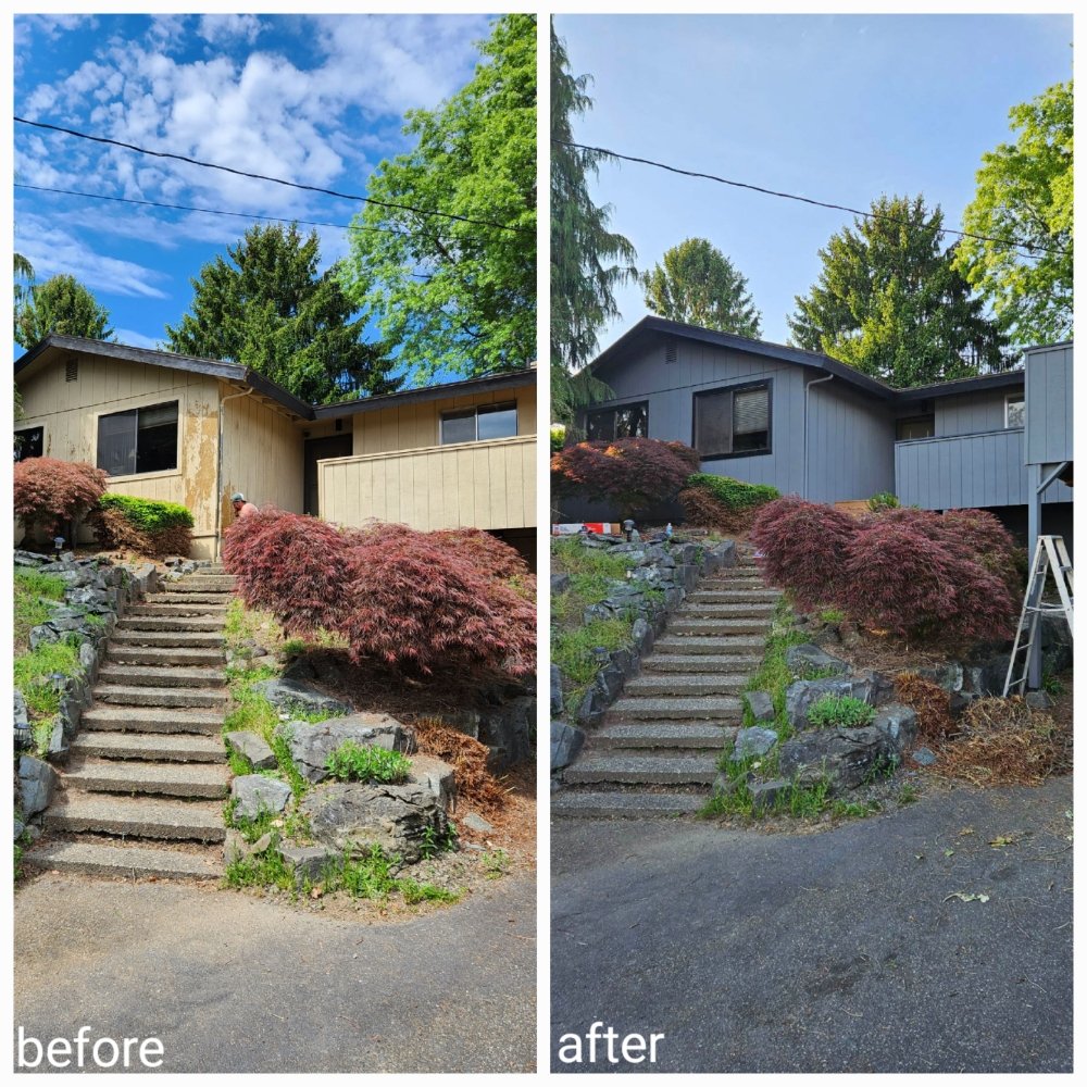 image of business All In 1 Services Puget Sound