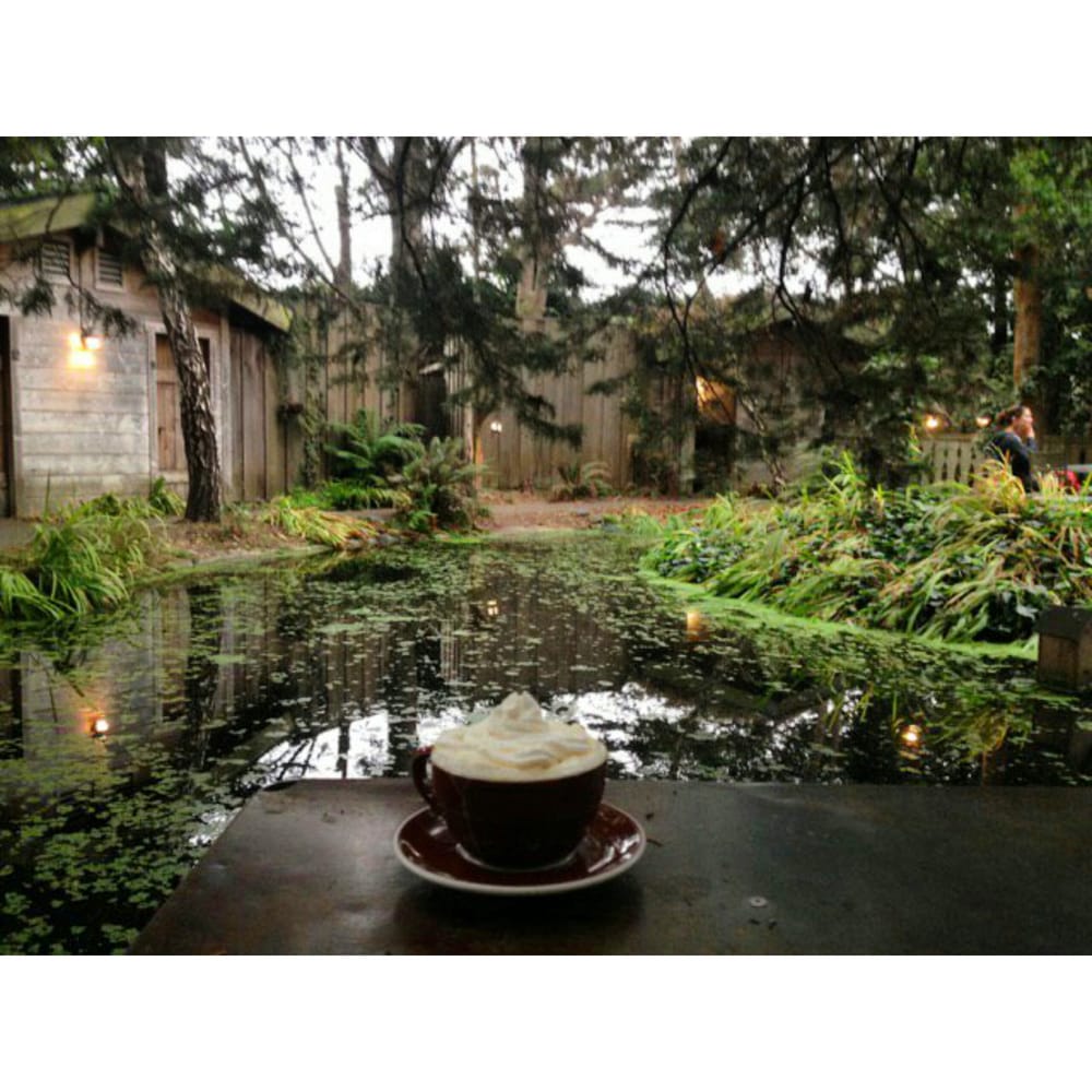 Cafe Mokka 59 Photos & 100 Reviews Coffee & Tea 495 J St, Arcata