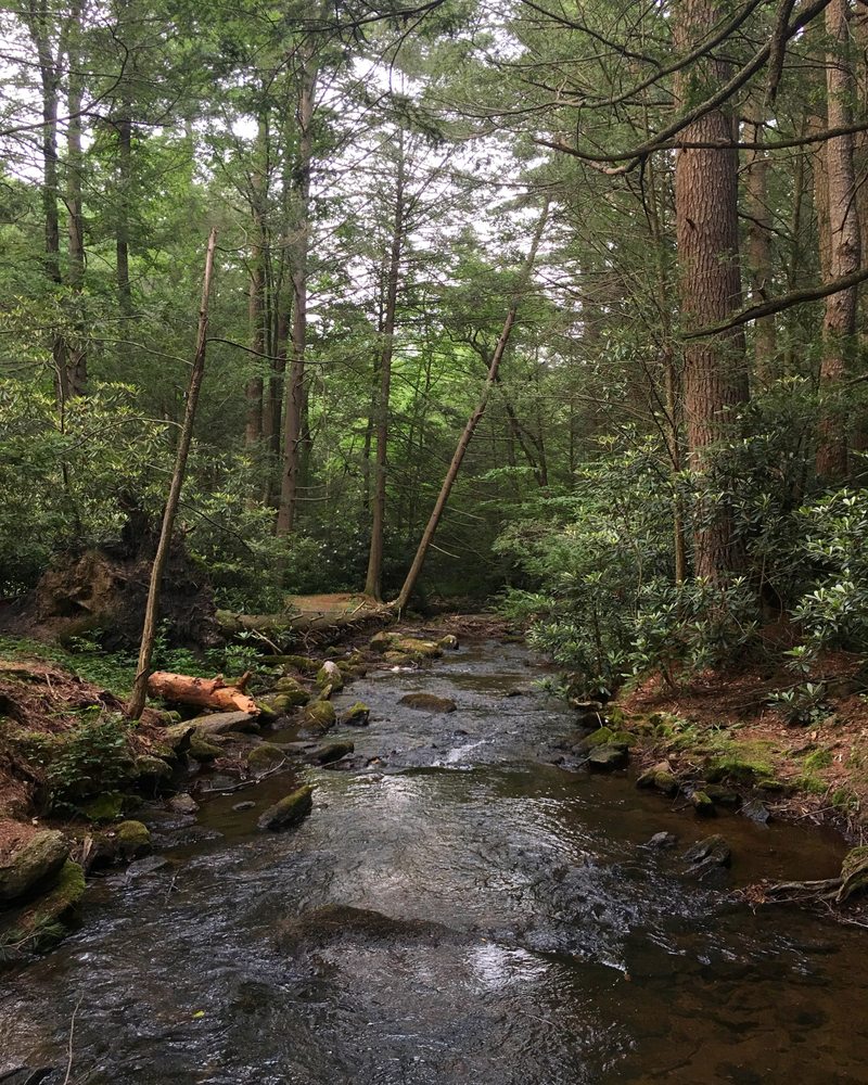 Jim Thorpe Camping Resort 27 Photos & 17 Reviews Resorts 129