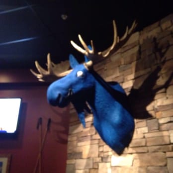 Blue moose lenexa coupons