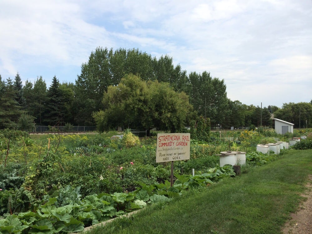 Strathcona Rail Community Garden Parks 10562 86 Avenue NW, Edmonton