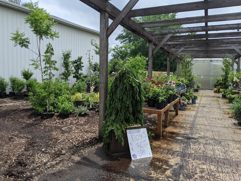 Viveros en Kalamazoo