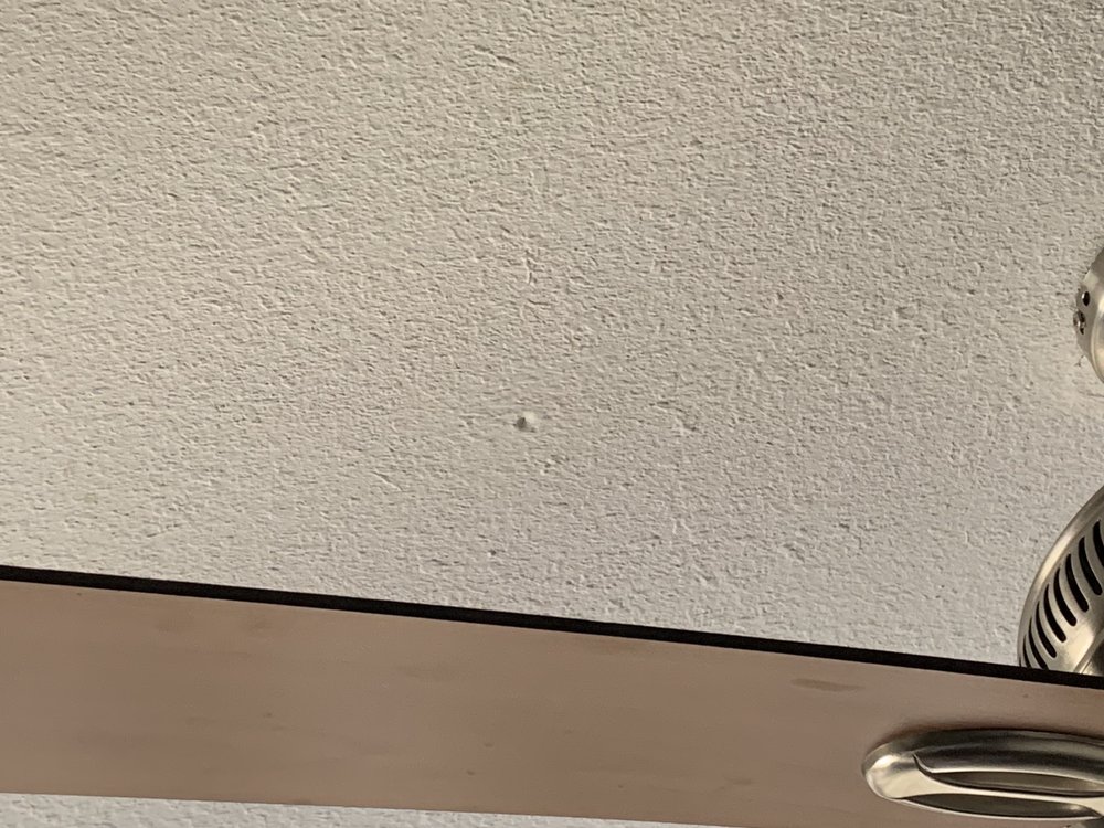 Monster Contractor