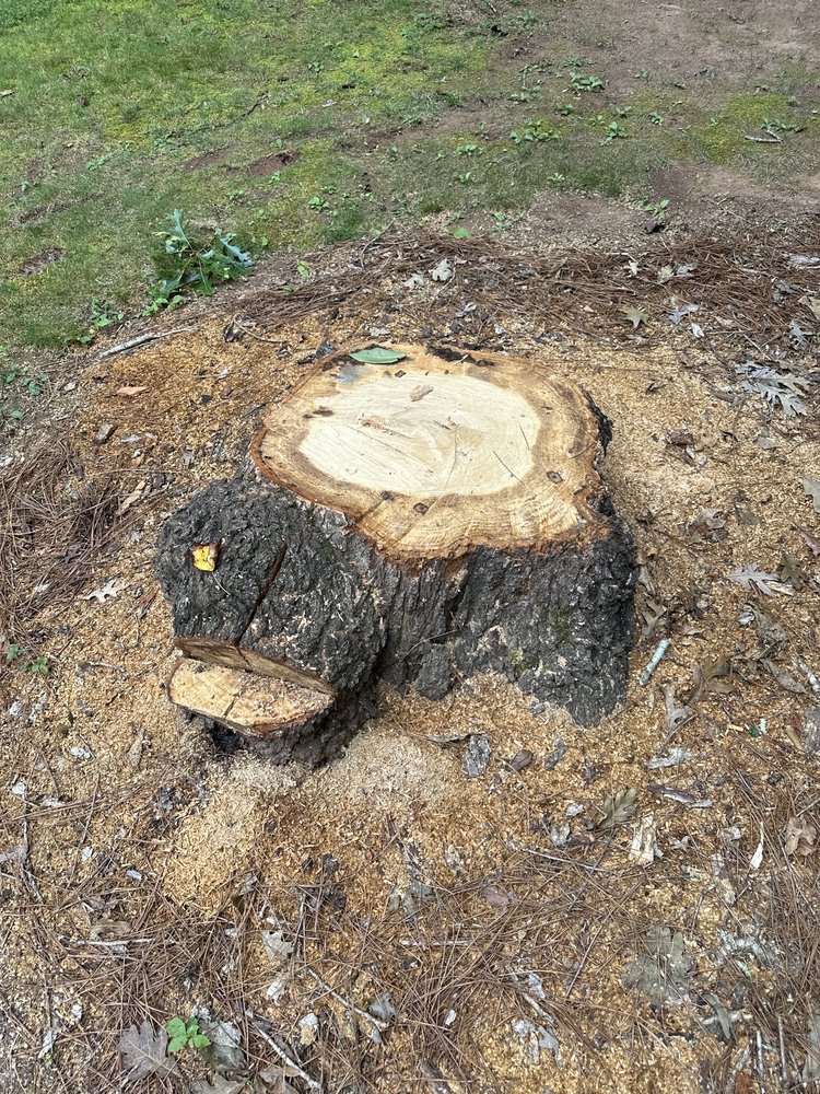 Beaver Tooth Stump Grinding
