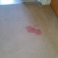 Star Carpet Cleaning San Go Awsa San Go Carpet Cleaning Services Stanley Steemer