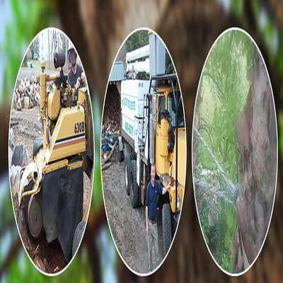 Tree Service Leominster  Photo of McCracken Tree Service - Leominster, MA, United States