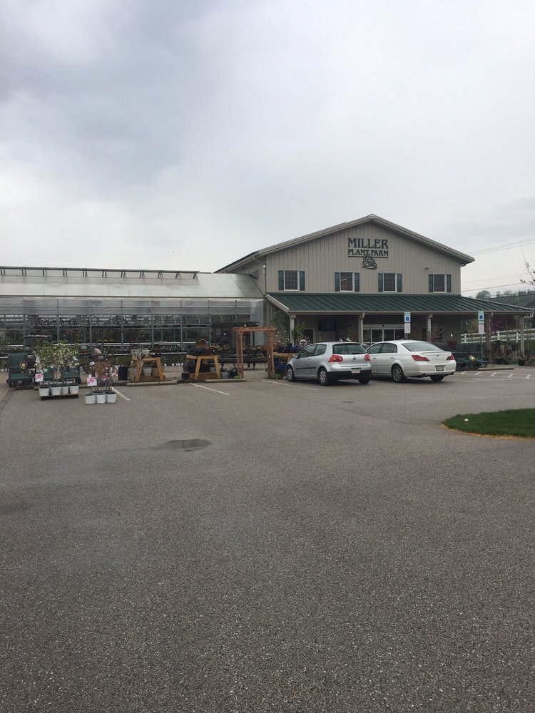 Miller Plant Farm