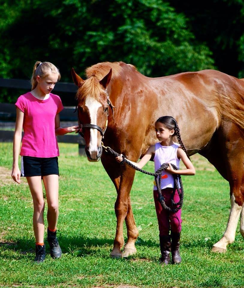 Twin Oaks Riding Academy