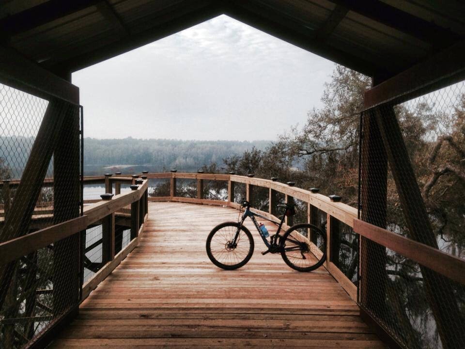 Tom Brown Park 31 Photos & 31 Reviews Dog Parks 501 Easterwood Dr