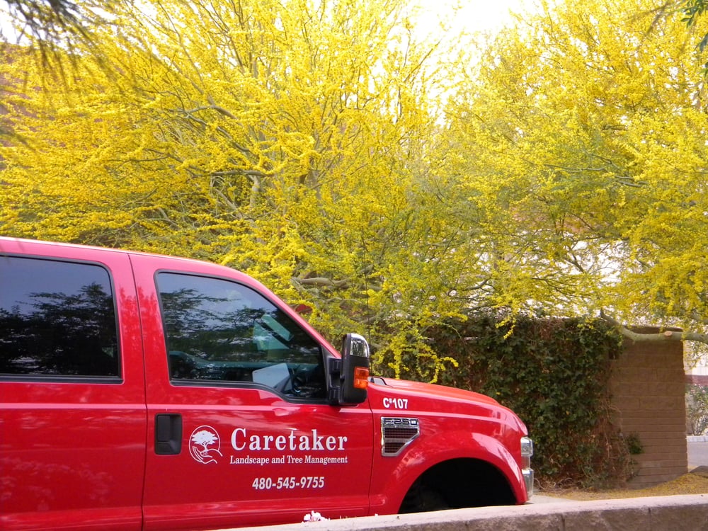 Caretaker Landscape and Tree Management Gilbert, AZ Reviews 741 N