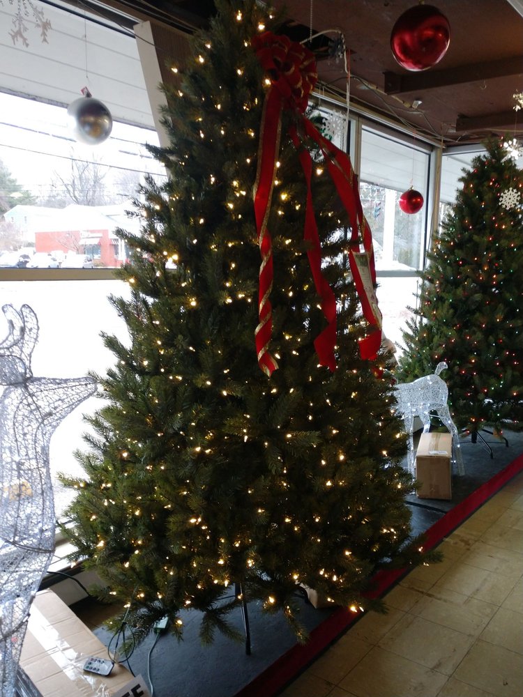 Treeland Garden Center & Nursery