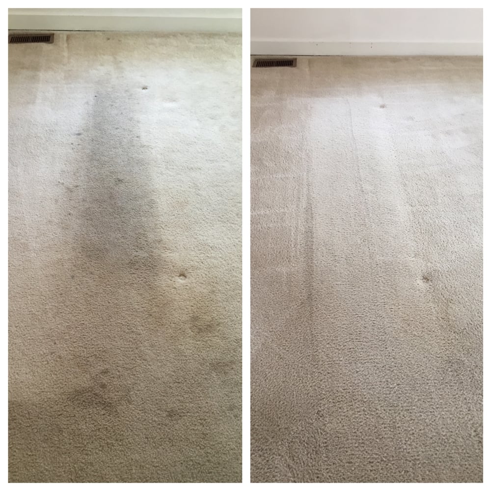 Carpet Dryclean