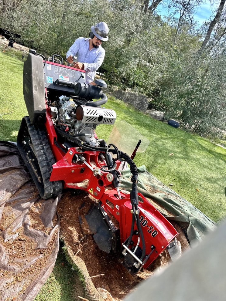 Tree Tx Services 