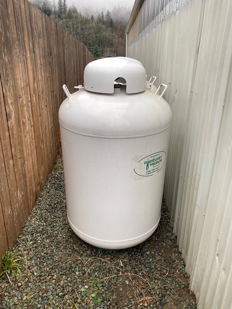 A Quick Pressure Washing