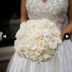 Photo Of The White Dress Brighton Mi United States Prettiest Dress In Photo Of The White Dress Brighton Mi United States Prettiest Dress In