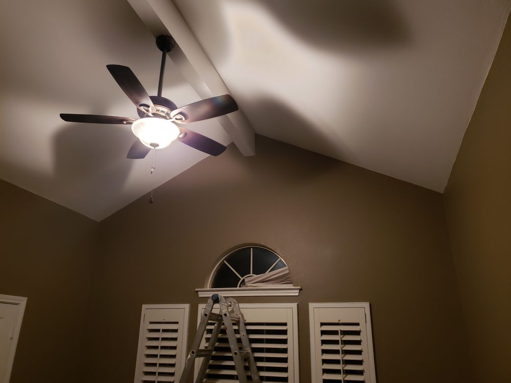 image of business Freeman