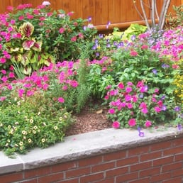 brick retaining wall with hot-colored plantings. Rear yard - South End