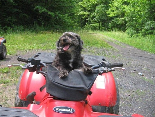 Motorcycle Stores Near Me >> Gumpys Atv - Automotive - 5444 7 Hwy Lp, Davy, WV - Phone ... Motorcycle Stores Near Me >> Gumpys Atv - Automotive - 5444 7 Hwy Lp, Davy, WV - Phone ...