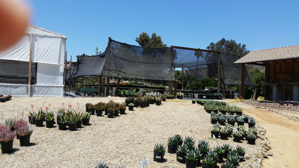 Oasis Water Efficient Gardens 30 Photos Reviews Nurseries Oasis Water Efficient