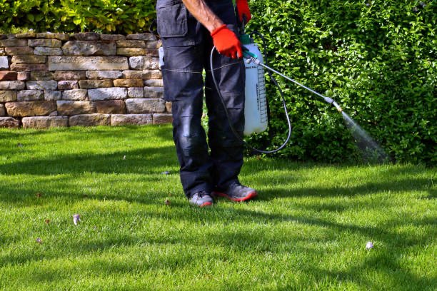 Green Armor Pest Control