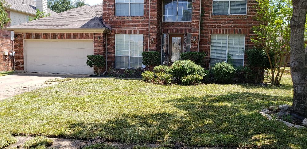 Cleaner Greens Lawn and Landscape