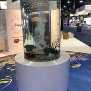infinity aquarium design 12
