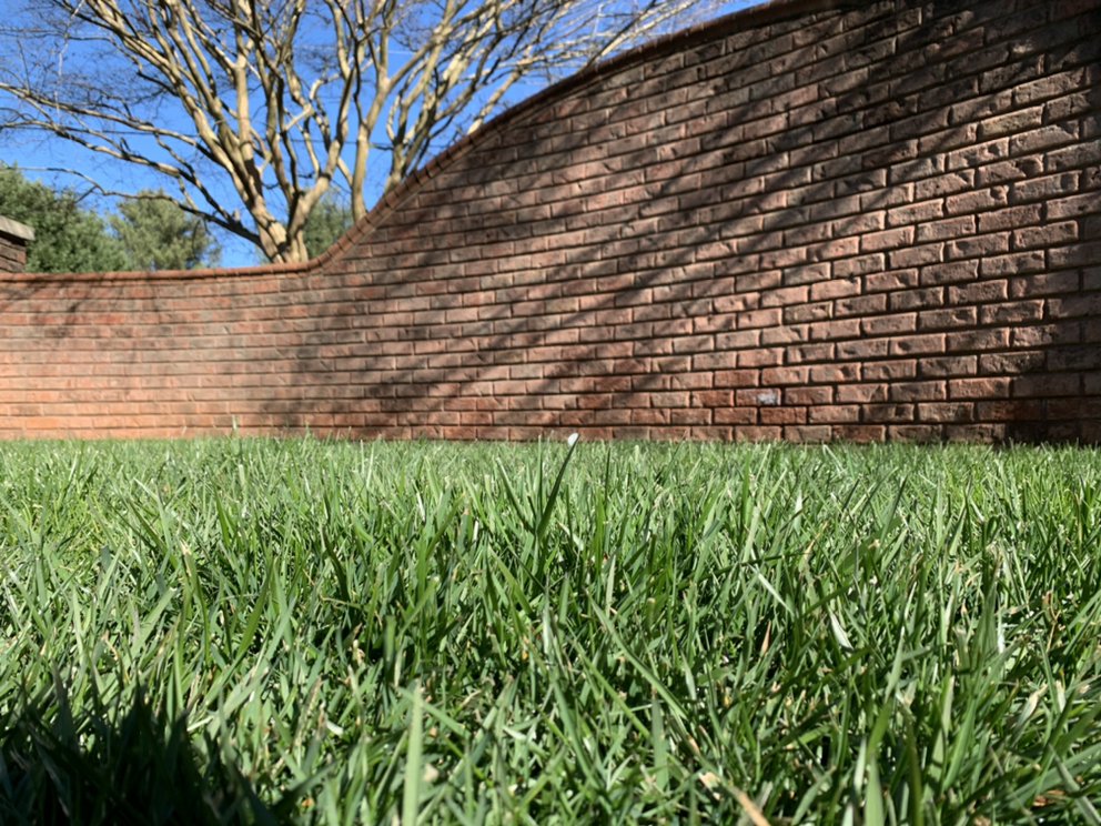 CSI Lawn Care Services