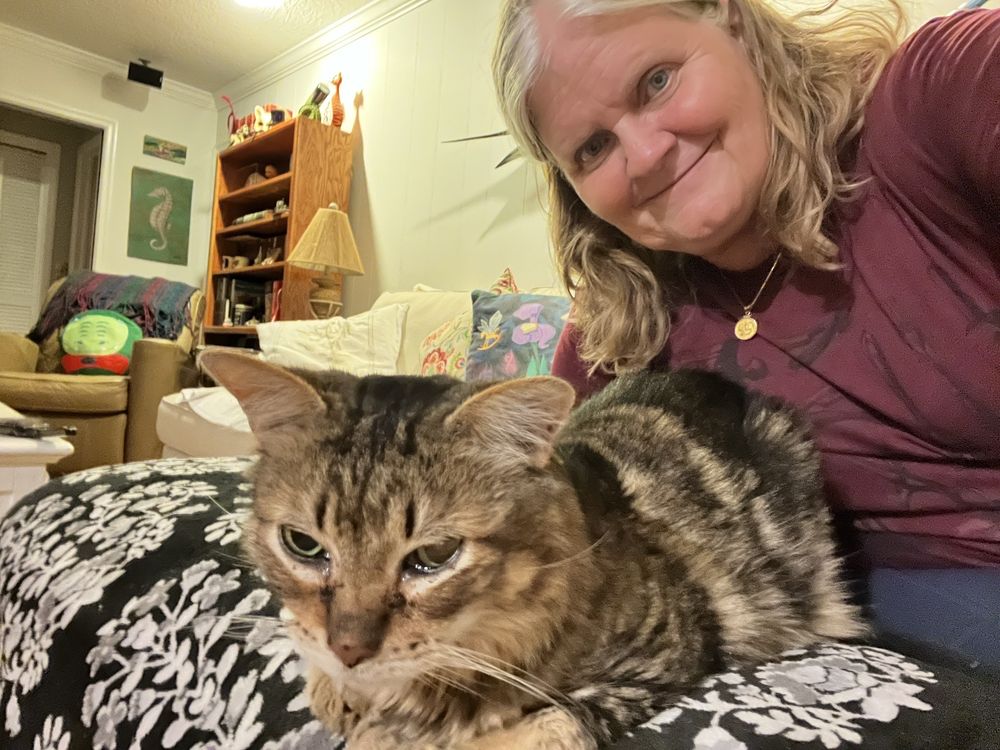 Aja Pet Service Image