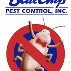 Blue Chip Pest Control 16691 Gothard St Huntington Photo Of Blue Chip Pest Control Huntington Beach Ca United States