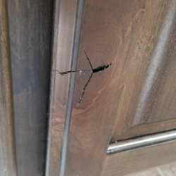 Cabinet Specialist 11 Photos 402 Cantrell St Waxahachie Tx Photo Of Cabinet Specialist Waxahachie Tx United States