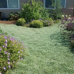 Gardefacts Landscape Design 18 Photos Landscaping Santa Photo Of Gardefacts Landscape Design Santa Barbara Ca United States Drought Tolerant