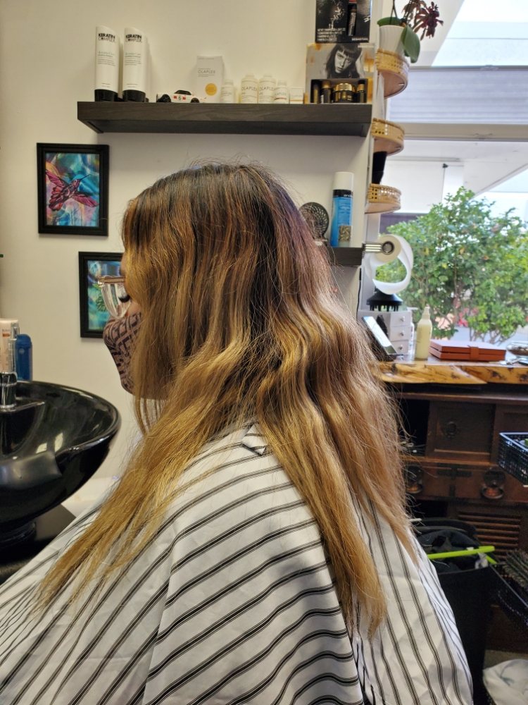 Cuts by Sam