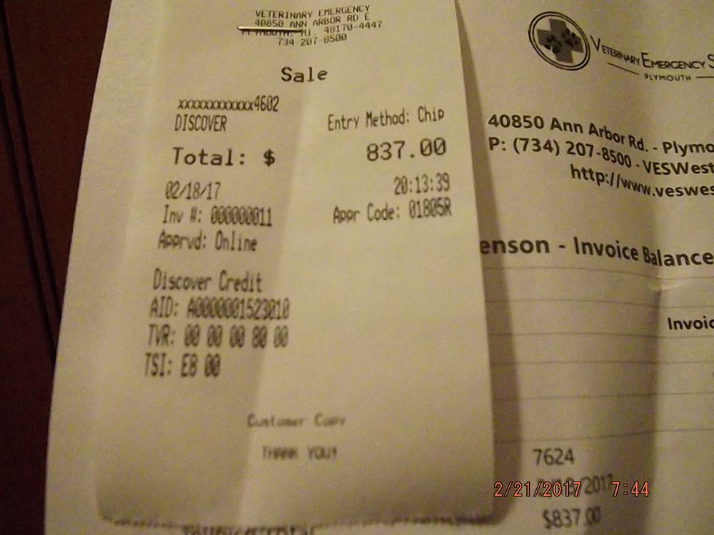 Veterinary Emergency Service West 30 Reviews Veterinarians 40850 Ann Arbor Rd E, Plymouth