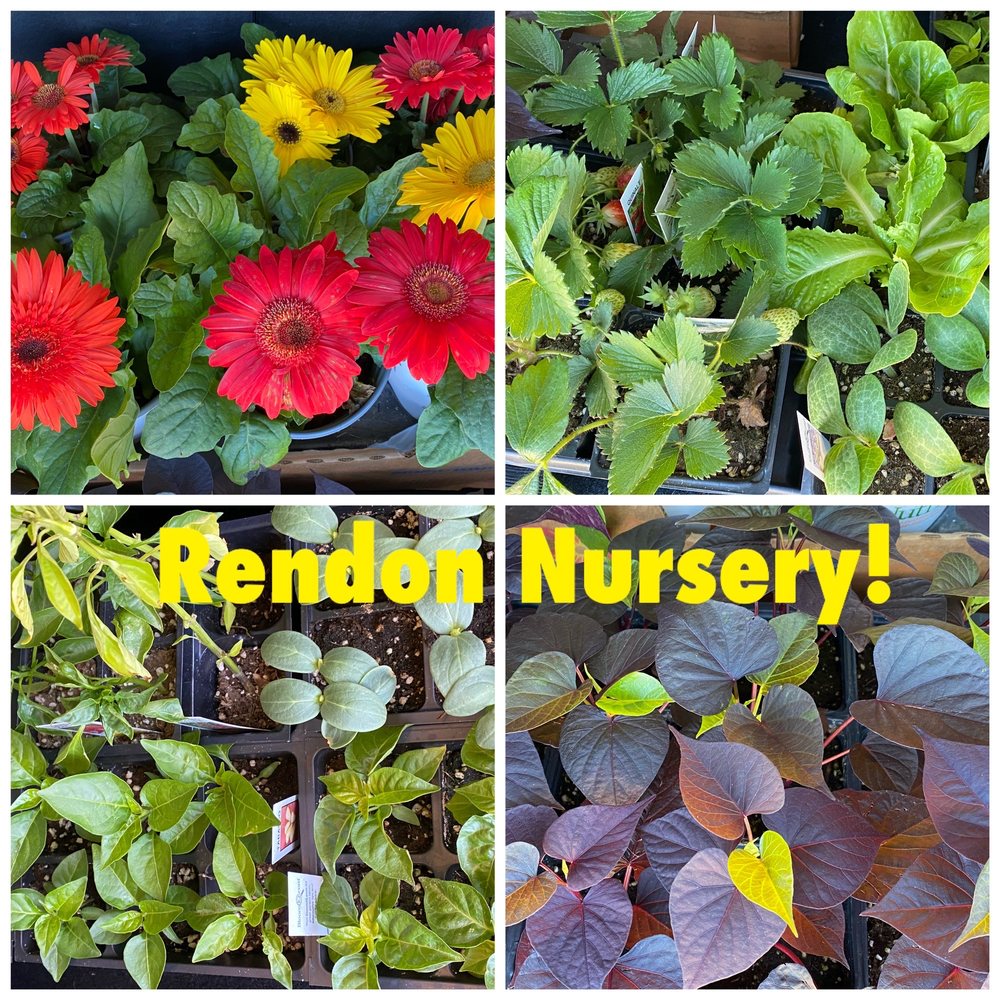 Rendon Nursery and Firewood