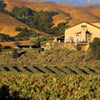 Gloria Ferrer Winery winery