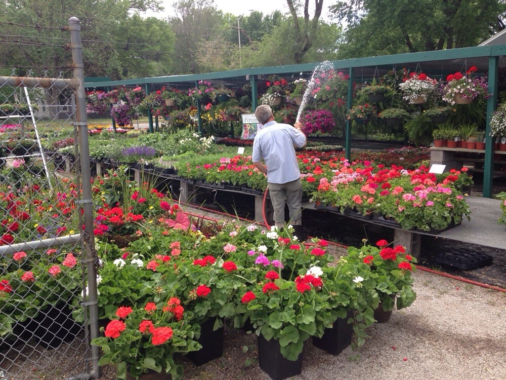 Beautiful and healthy plants. Yelp