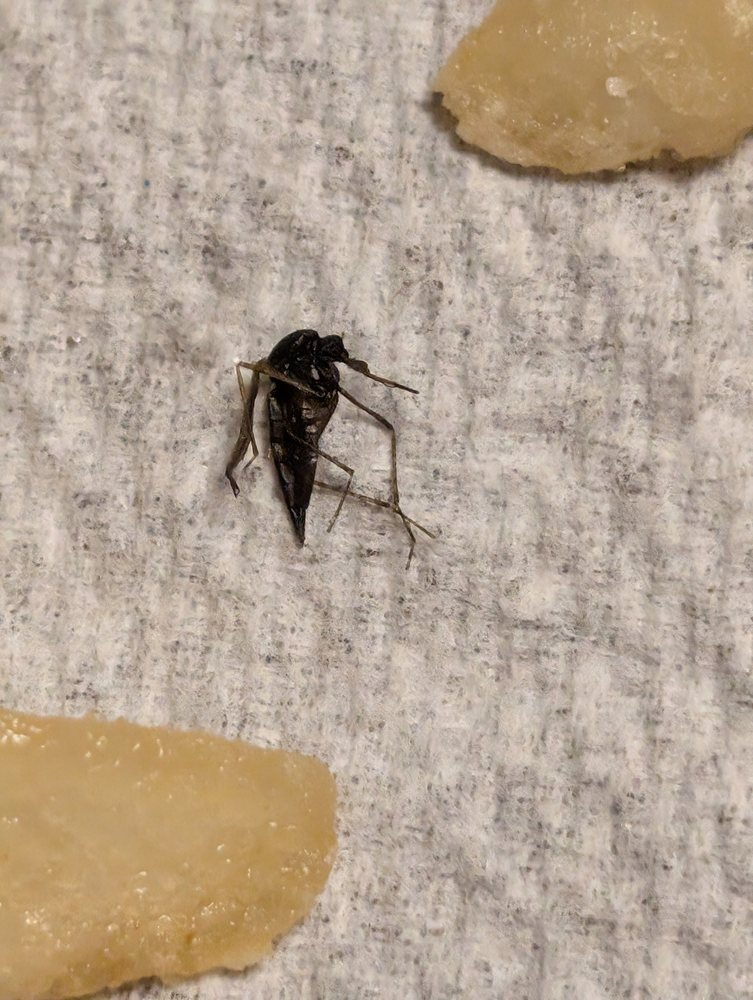 McDonald's McDonald's