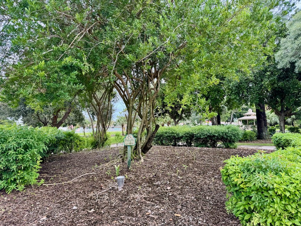 River Park at Deer Creek Image
