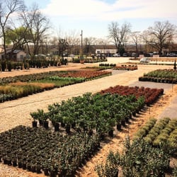 Austin Plant Supply Nurseries Gardening 3306 E Cesar Chavez Photo Of Austin Plant Supply Tx United States