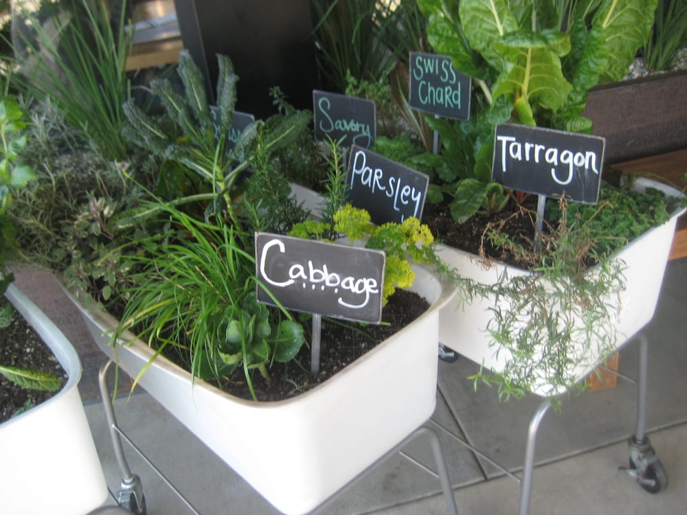 True Food Kitchen Fashion Island vegetable and herb planters in front of the restaurant. - yelp True Food Kitchen Fashion Island vegetable and herb planters in front of the restaurant. - yelp