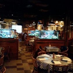 Chesapeake S 151 Photos 145 Reviews Seafood 600 Union Ave Photo Of Chesapeake S Knoxville Tn United States
