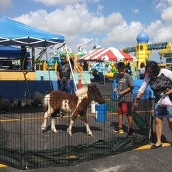 Flea Market Miami >> Opa Locka Hialeah Flea Market 45 Photos 29 Reviews Flea Flea Market Miami >> Opa Locka Hialeah Flea Market 45 Photos 29 Reviews Flea