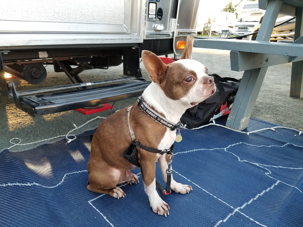 Photos for Pismo Coast Village RV Resort - Yelp