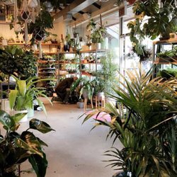 Top 10 Best Plant Delivery In Chicago Il Last Updated May 2019 Yelp All Results