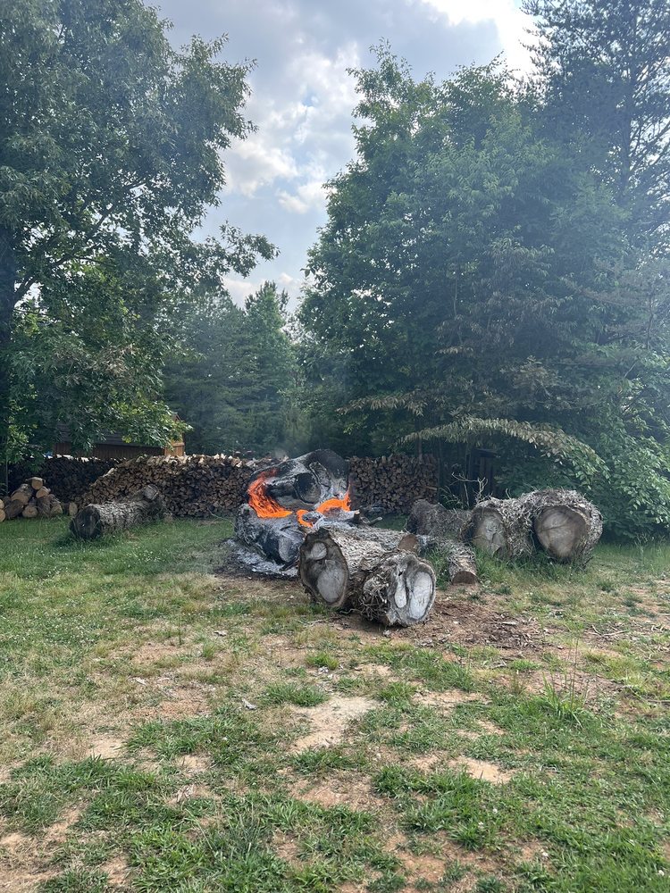 God's Way Tree Service